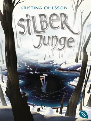 cover image of Silberjunge